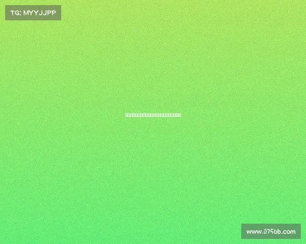 足球俱乐部引援资金使用方案分析与优化策略探讨